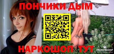 гидра Кингисепп