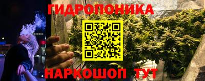 гидра Кингисепп