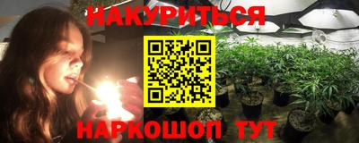 гидра Кингисепп