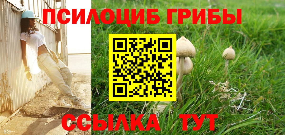 Галлюциногенные грибы MAGIC MUSHROOMS Тихвин