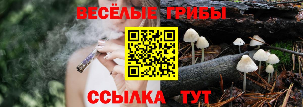 цены   Псилоцибиновые грибы Cubensis  Вход с VPN  Тихвин 
